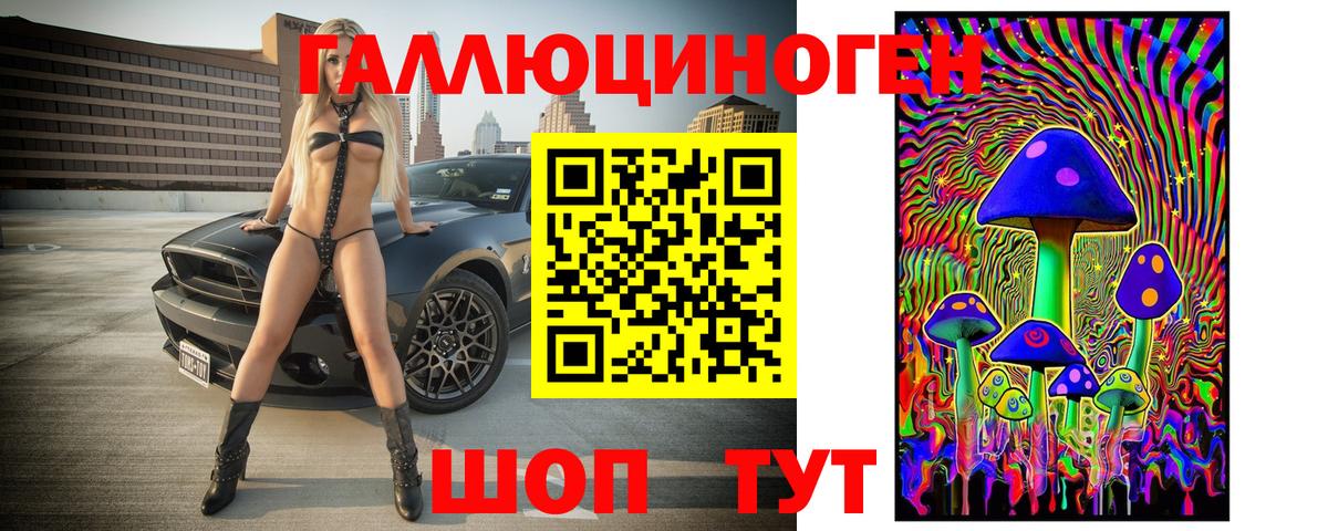 Галлюциногенные грибы Psilocybine cubensis Назрань